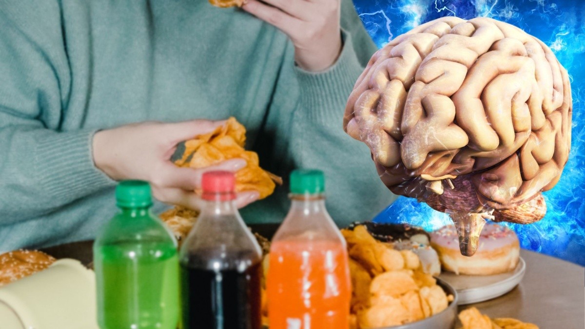 ¿cuáles Son Los Peores Alimentos Para Nuestro Cerebro Hombres 100 Cuidado Personalemk 9803